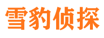 长阳市私家侦探